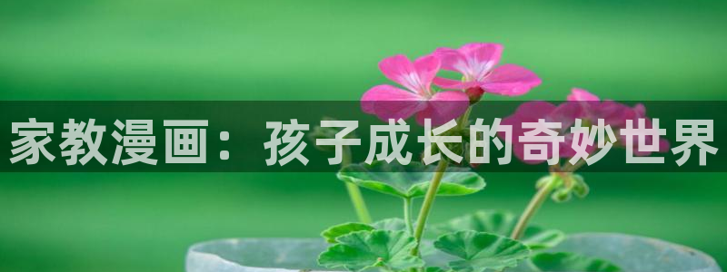 天下第一宠土豪漫画
