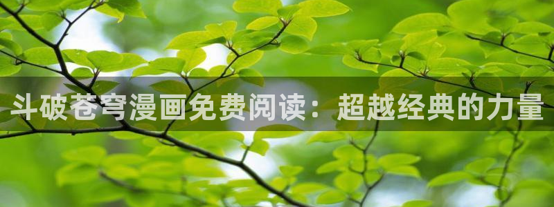 秘密花园土豪漫画免费下拉式